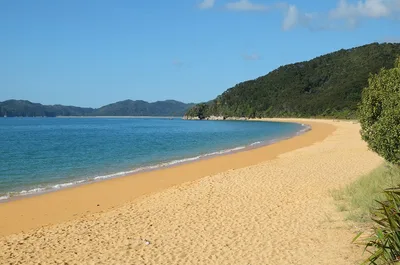 Playa de Tōtaranui — Goat Bay
