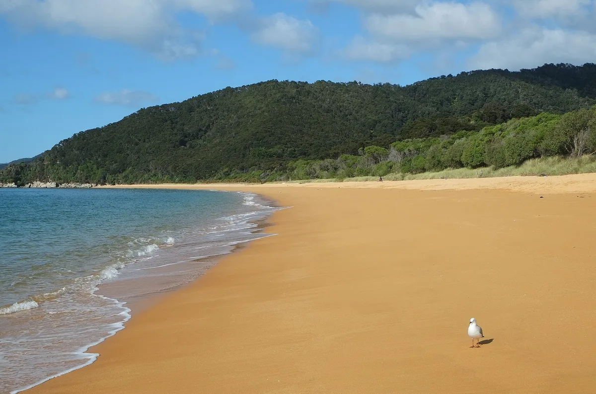 Tōtaranui — Goat Bay Beach, Tasman District, Nelson-Tasman, New Zealand — 2