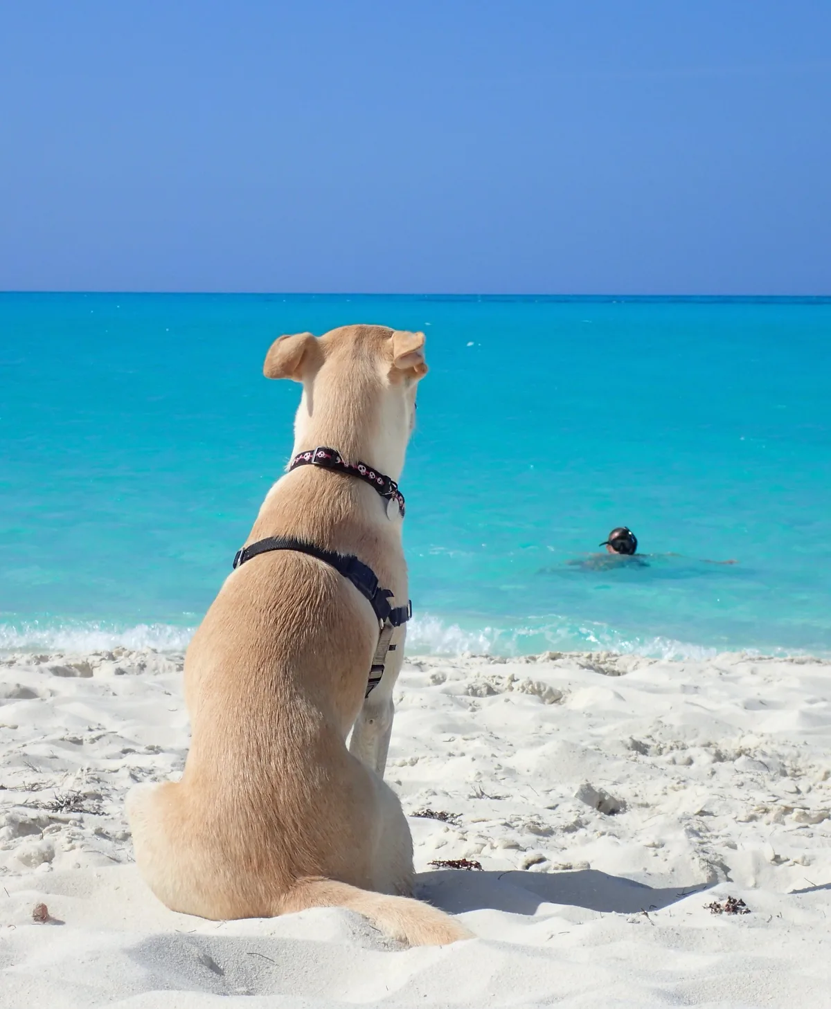 Tropic of Cancer Beach, Little Exuma, Lucayan Archipelago, Bahamas — 2