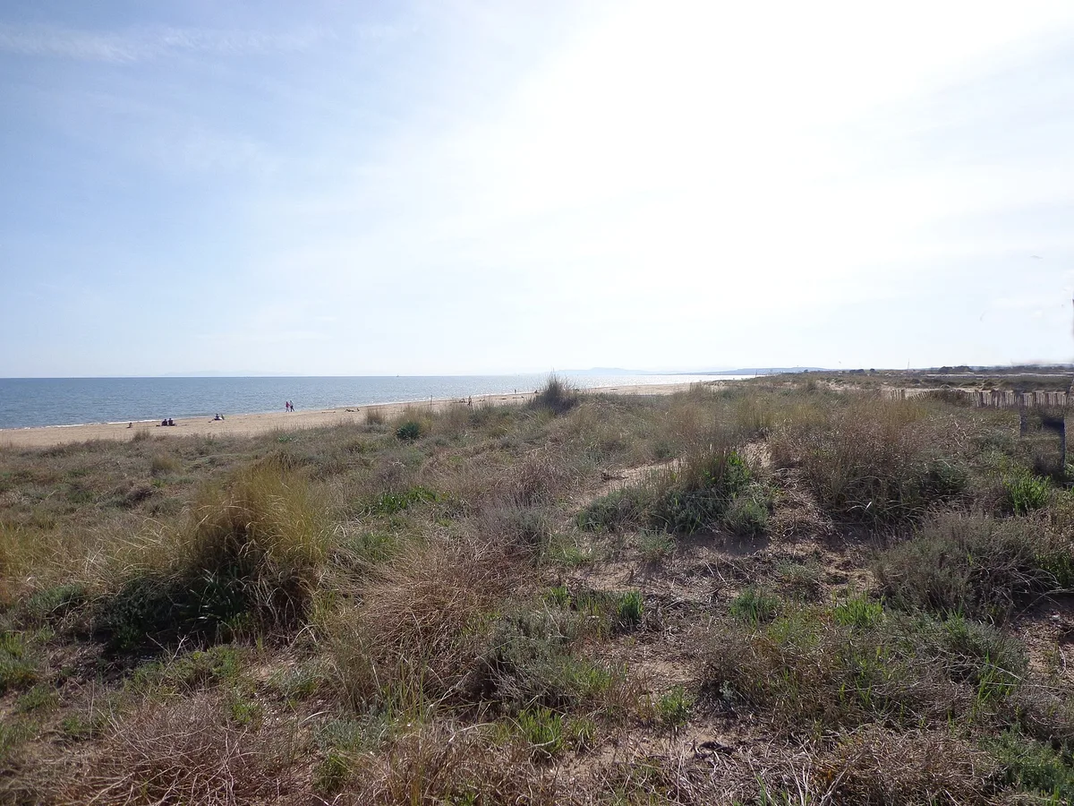 Bosquet-Strand, Portiragnes, Occitanie, Frankreich — 4
