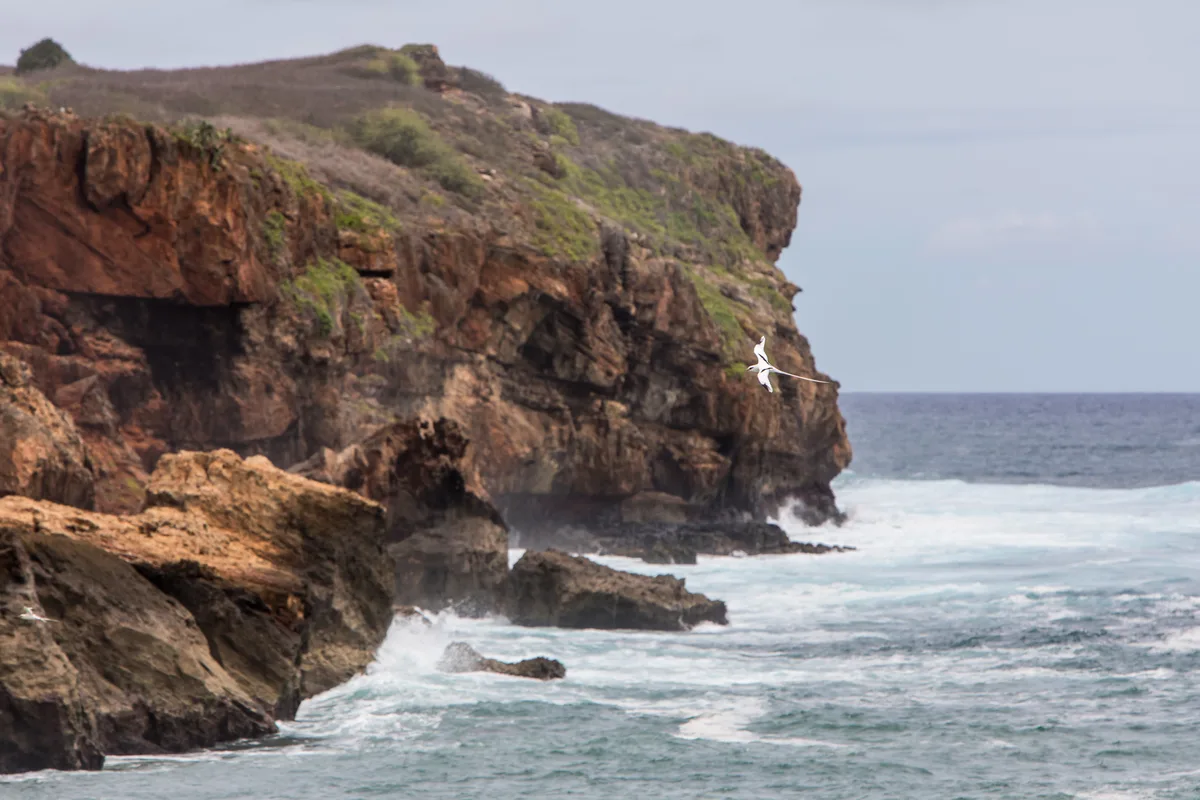 Māhāʻulepū Beach, Koloa, Hawaii, États-Unis — 6