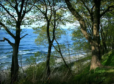 Pionersky Beach, Baltic Sea, Russia — 4