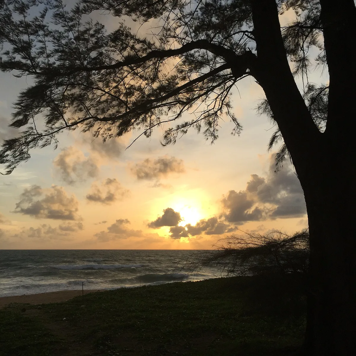 Mai Khao-Strand, Mai Khao, Andaman Sea, Thailand — 4