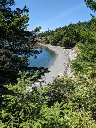 Mitchell's Bay-Strand