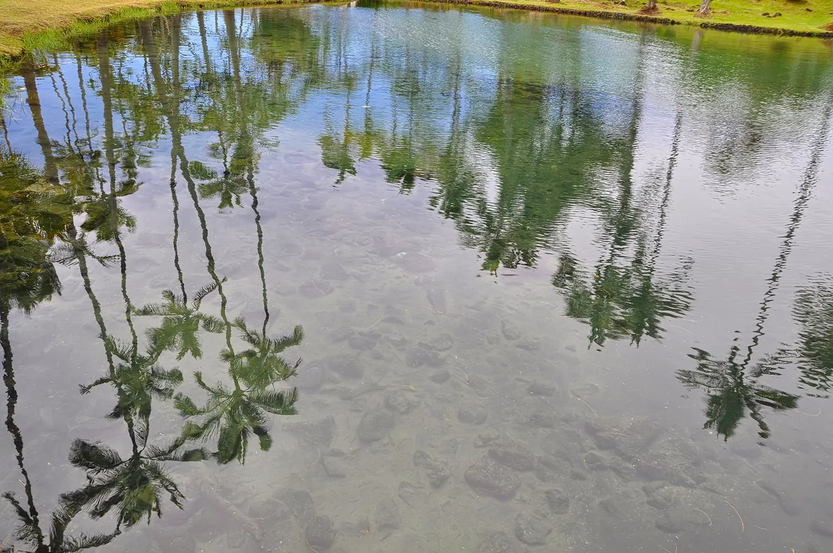 Leleiwi Beach Park, Hilo, Hawaii, États-Unis — 5