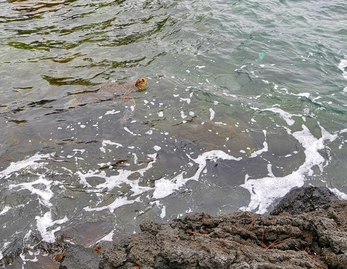 Leleiwi Beach Park, Hilo, Hawaii, États-Unis — 6