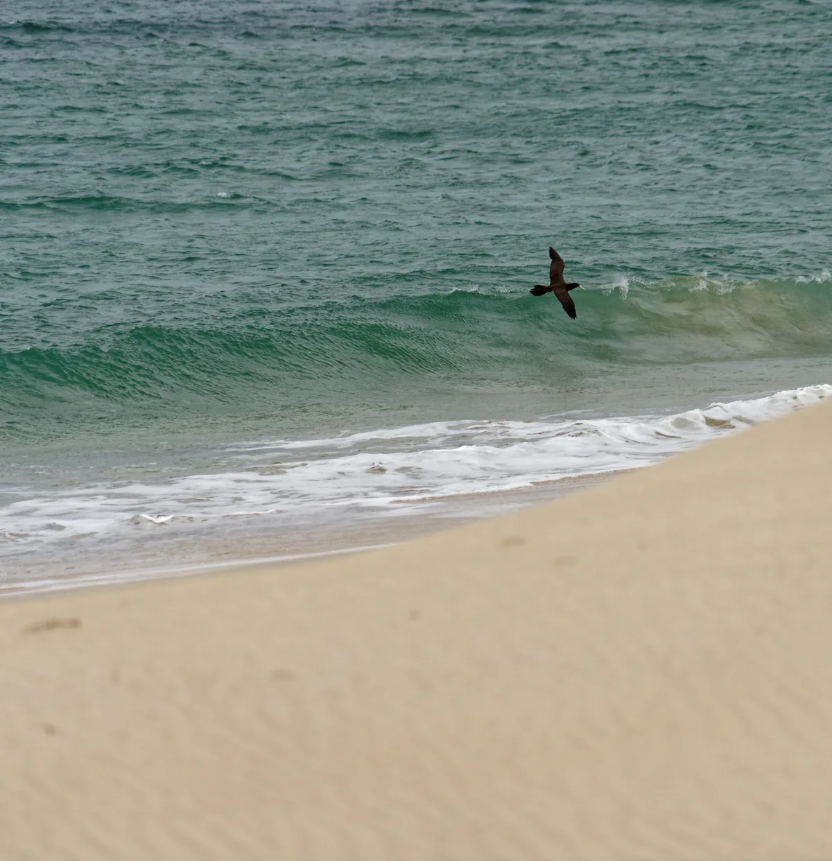 Plage de Varandinha, Boa Vista, Cape Verde, Cap-Vert — 3