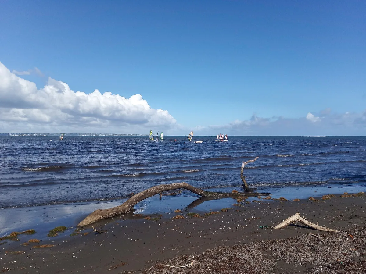 Caraïbe-Strand, Pointe-Noire, Guadeloupe, Frankreich — 6