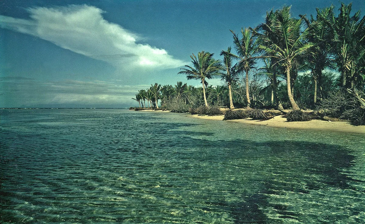 Caraïbe-Strand, Pointe-Noire, Guadeloupe, Frankreich — 4