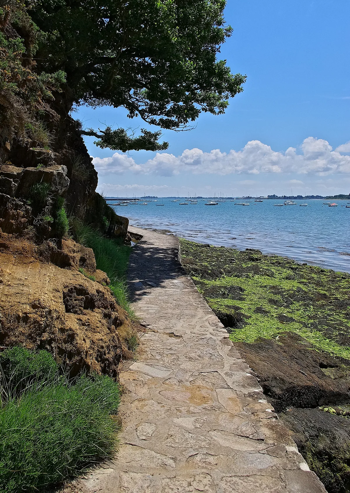 Plage de Penboc'h, Arradon, Bretagne, Francia — 2