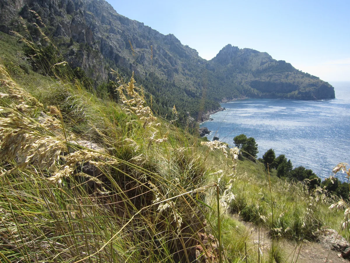 Plage de Cala Tuent, Escorca, Balearic Islands, Espagne — 6