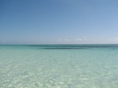 Michamvi Pingwe-Strand