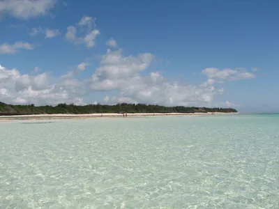Praia de Michamvi Pingwe, Michamvi, East African Coast, Tanzânia — 3