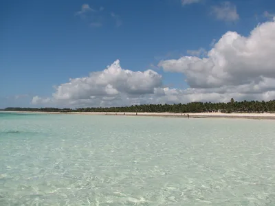 Praia de Michamvi Pingwe, Michamvi, East African Coast, Tanzânia — 4