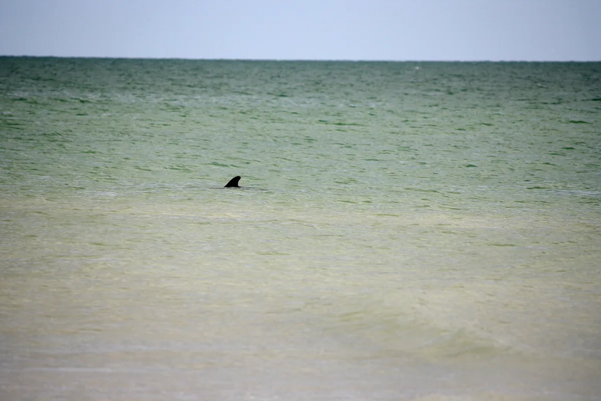 Bowman's Beach North Spit, Sanibel, Florida, États-Unis — 2