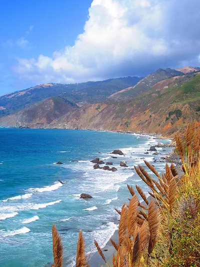 Plage de Kirk Creek