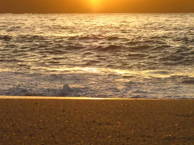 Plage de Notleys Landing