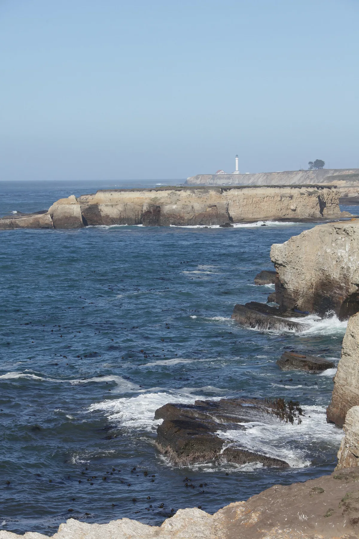 Praia das Stornetta Public Lands, Point Arena, California Coast, Estados Unidos — 2