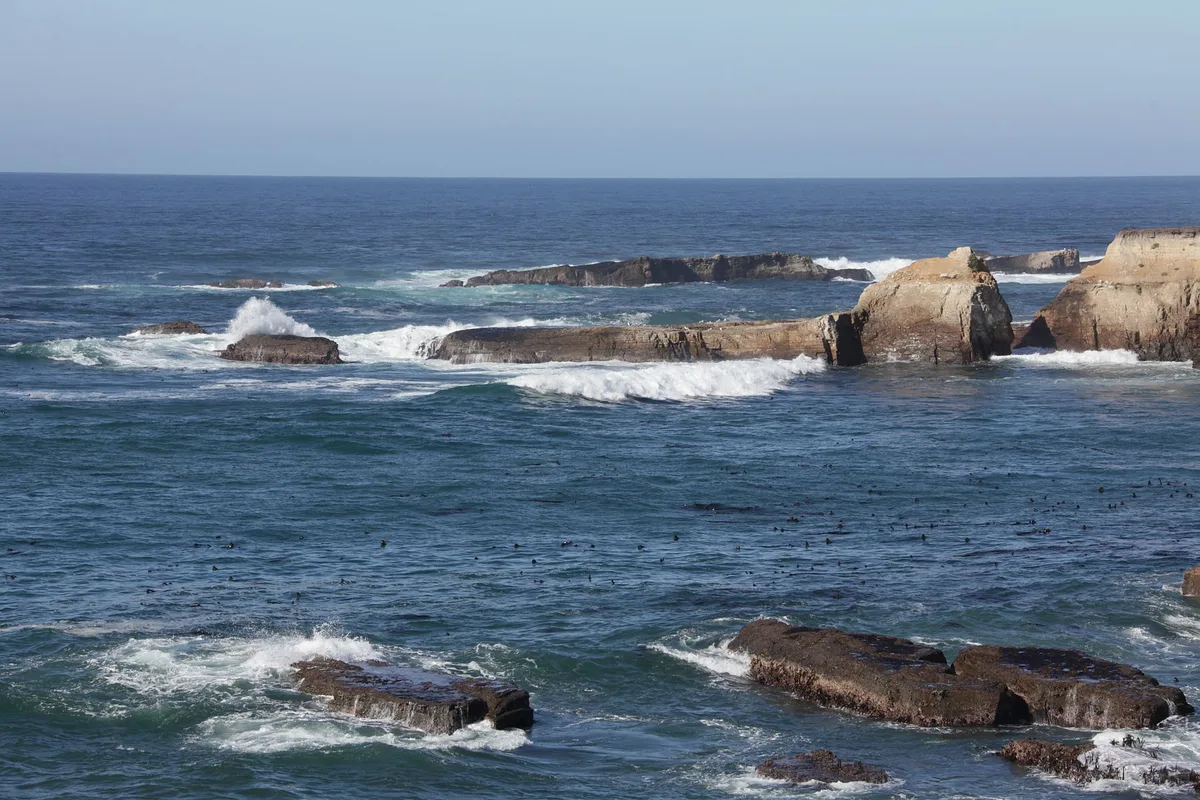 Praia das Stornetta Public Lands, Point Arena, California Coast, Estados Unidos — 4