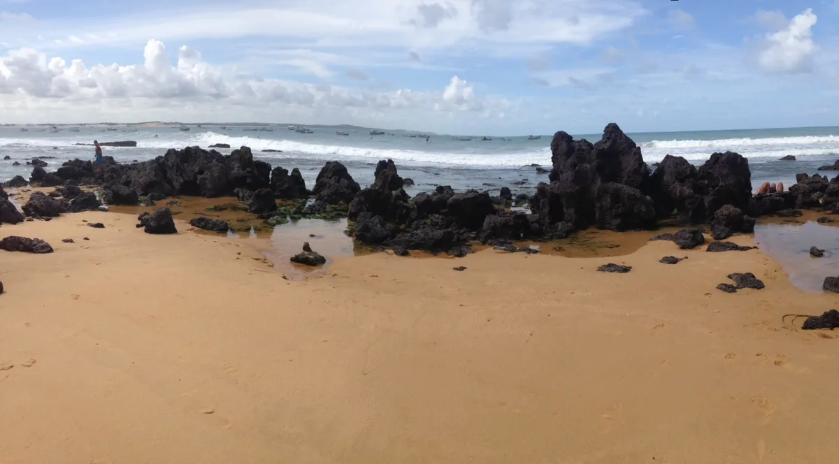Baía Formosa Beach, Baía Formosa, Northeast Brazil, Brazil — 4