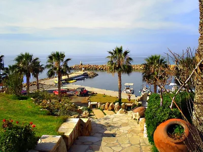 Playa de Chlorakas