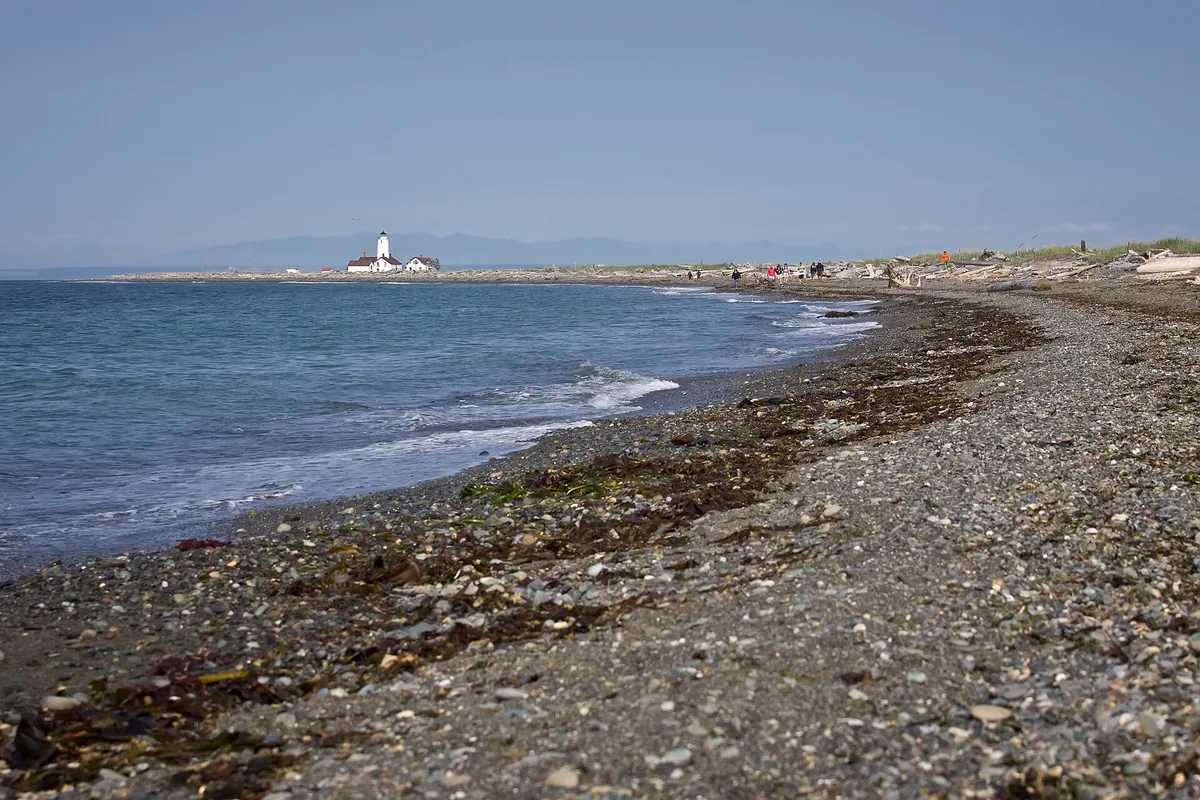 Dungeness Spit, Clallam County, Pacific Northwest, Verenigde Staten — 2