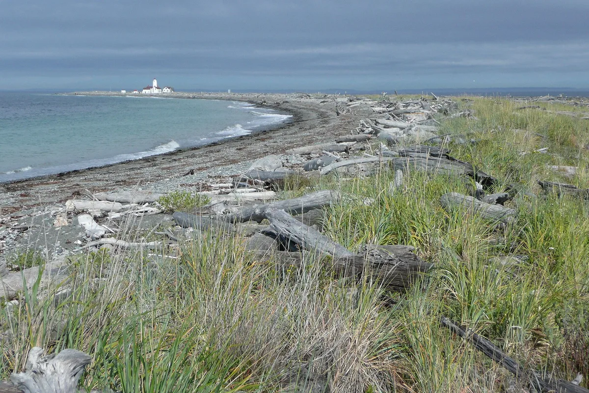 Dungeness Spit, Clallam County, Pacific Northwest, Verenigde Staten — 5