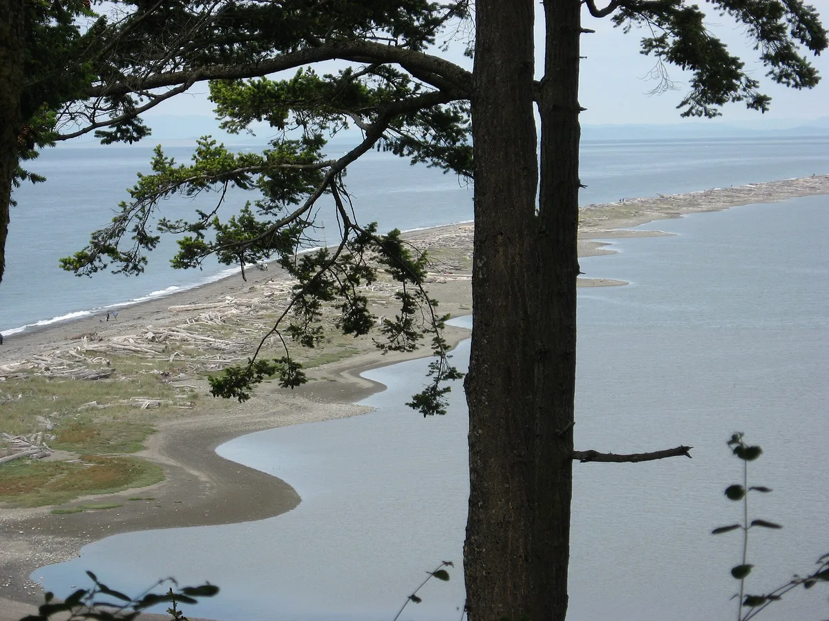 Dungeness Spit, Clallam County, Pacific Northwest, Verenigde Staten — 4