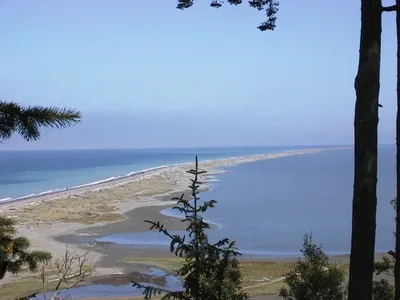 Dungeness Spit, Clallam County, Pacific Northwest, Verenigde Staten — 6