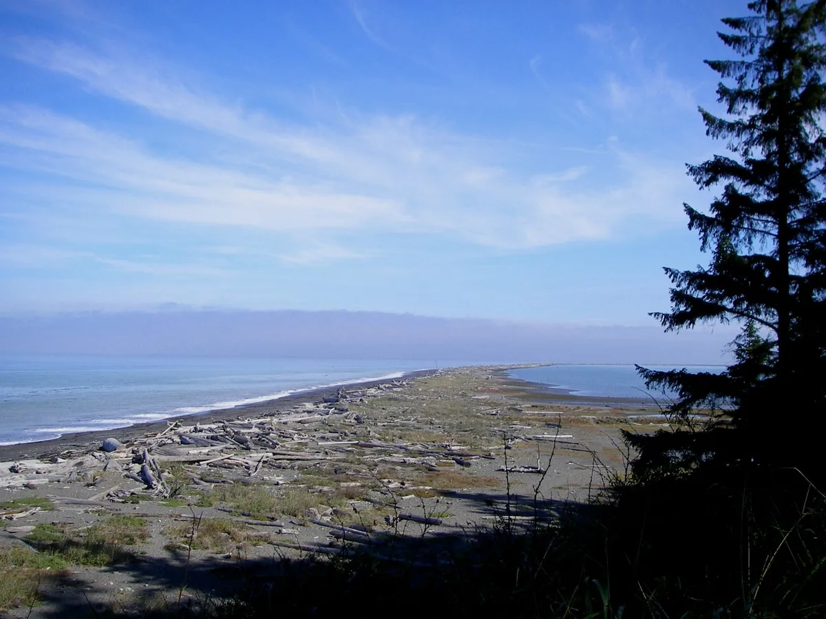 Dungeness Spit, Clallam County, Pacific Northwest, Verenigde Staten — 3