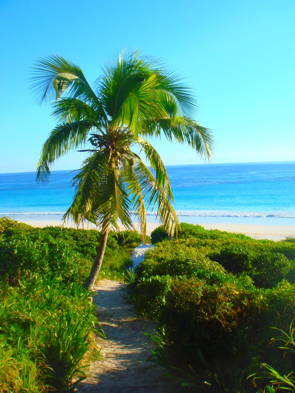 Pink Sand-Strand, Dunmore Town, Lucayan Archipelago, Bahamas — 5
