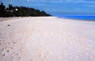 Spiaggia di Pink Sand