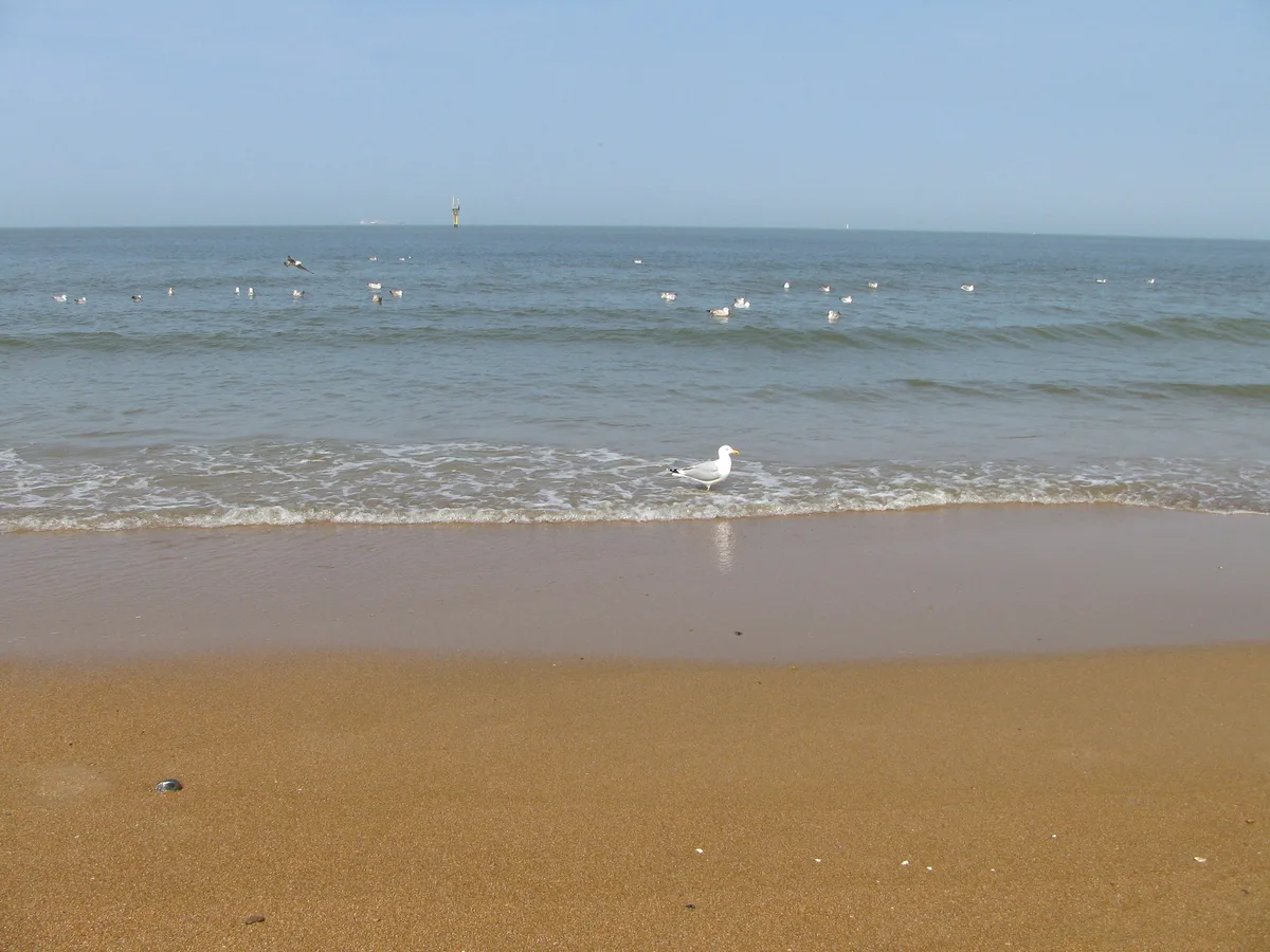 Praia de Knokke-Heist, Knokke-Heist, North Sea Coast, Belgium — 3