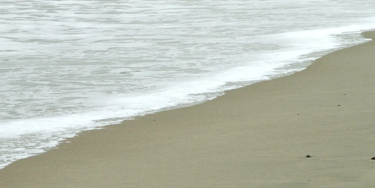 Praia de Knokke-Heist, Knokke-Heist, North Sea Coast, Belgium — 6