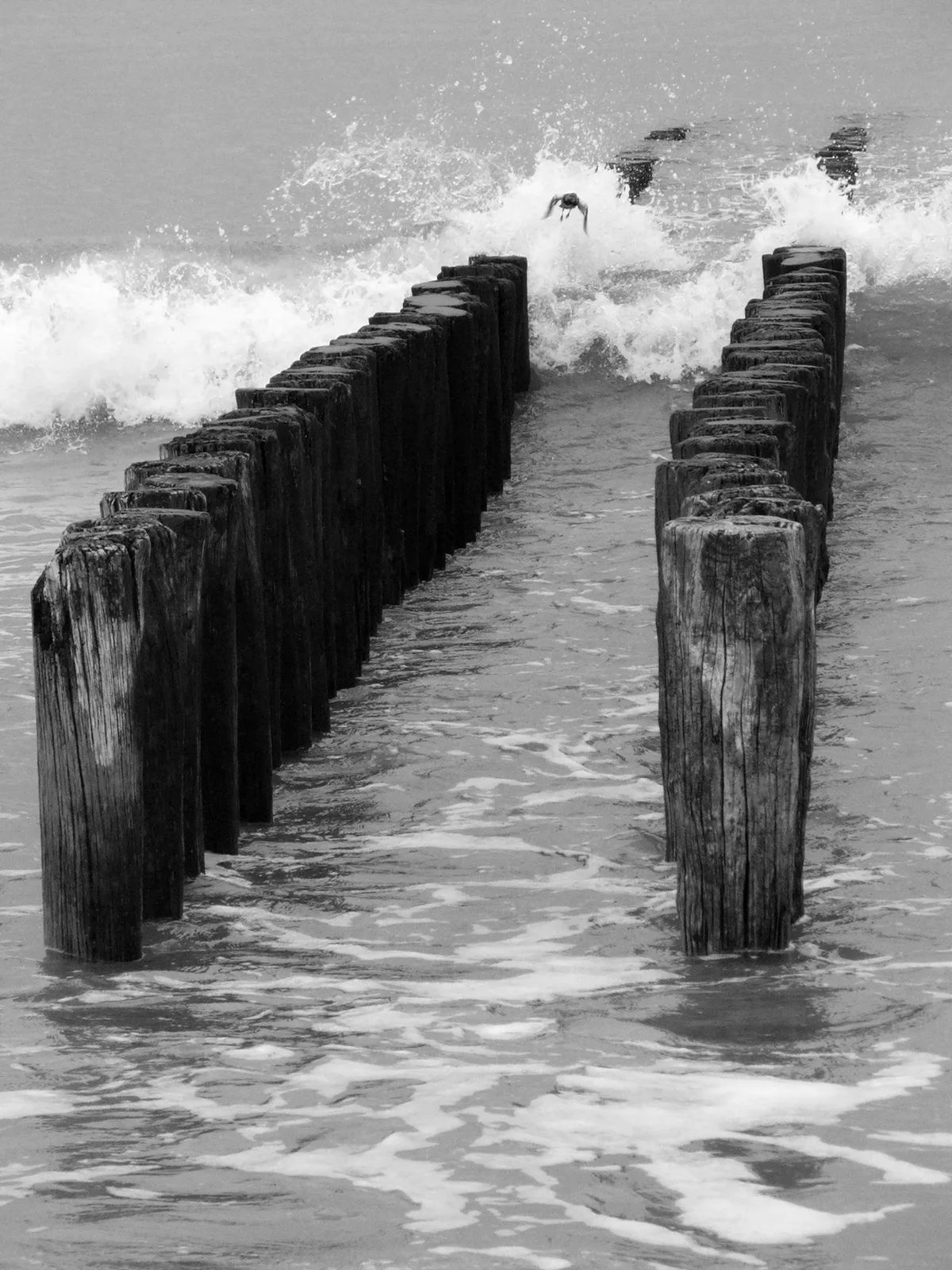 Praia de Knokke-Heist, Knokke-Heist, North Sea Coast, Belgium — 2