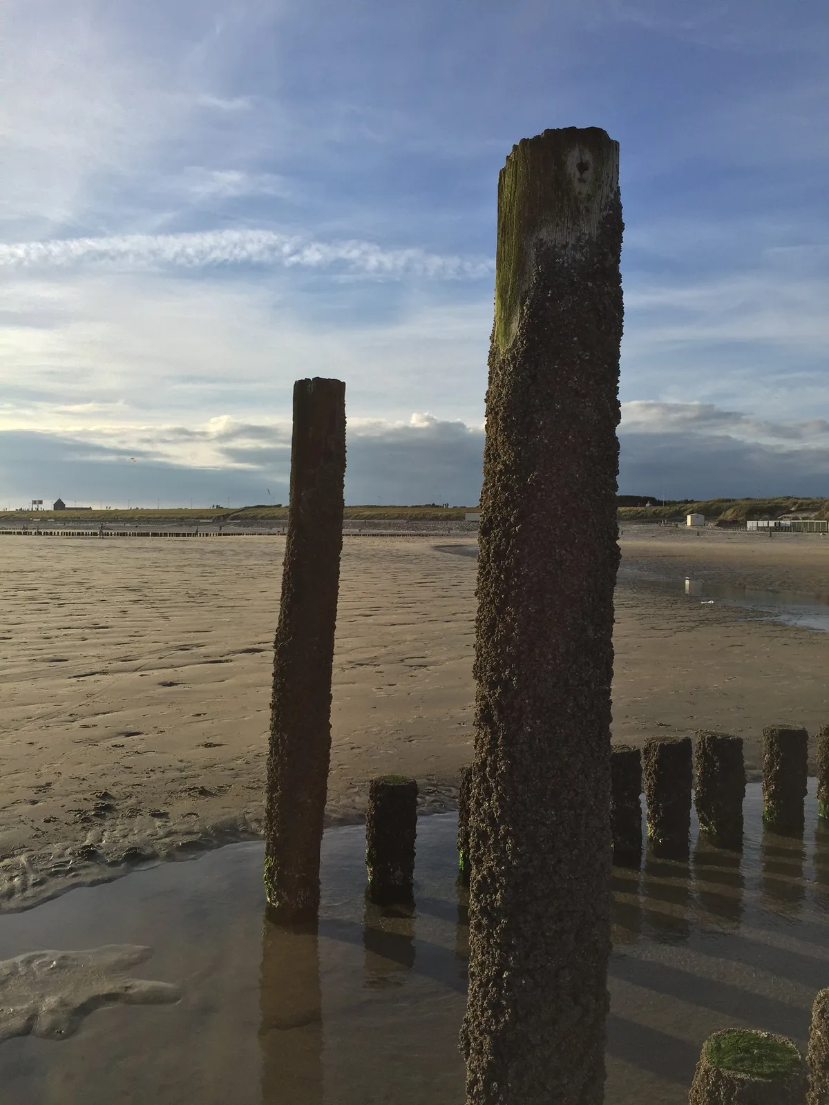Strand Zoutelande, Veere, Zeeland, Nederland — 3