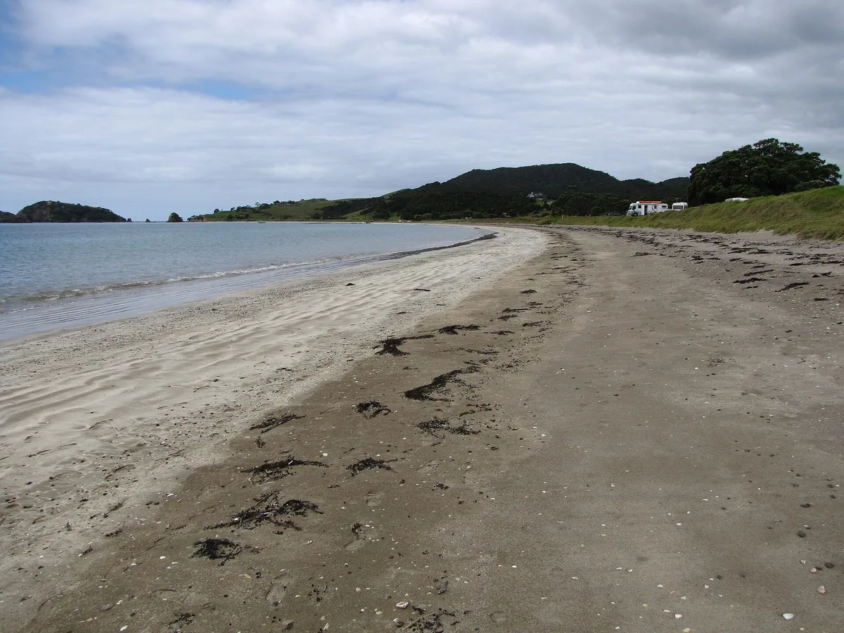Whangaruru-Strand, Whangarei District, Northland, Neuseeland — 4