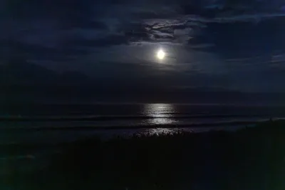 Nauset Beach