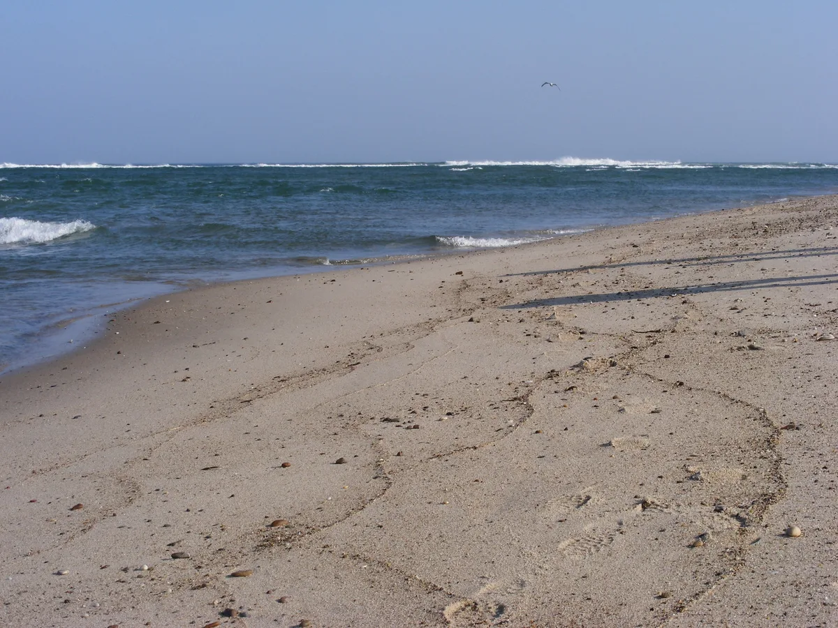 Nauset Beach, Orleans, US Northeast, United States — 4