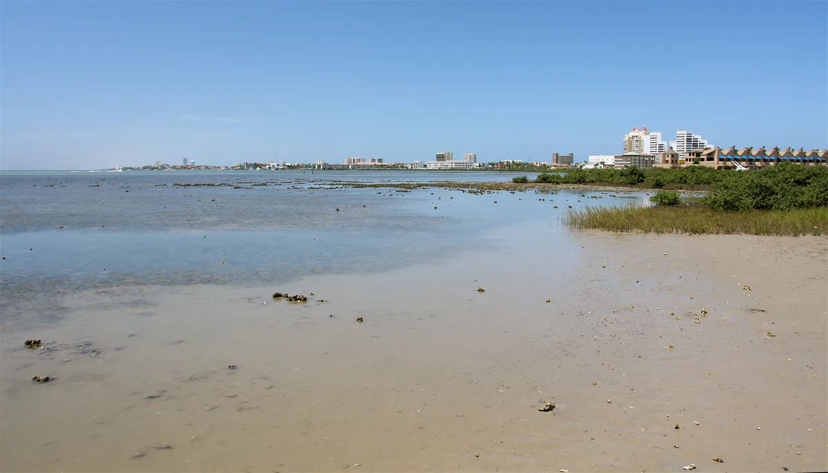 South Padre Island Beach, South Padre Island, US Gulf Coast, United States — 3