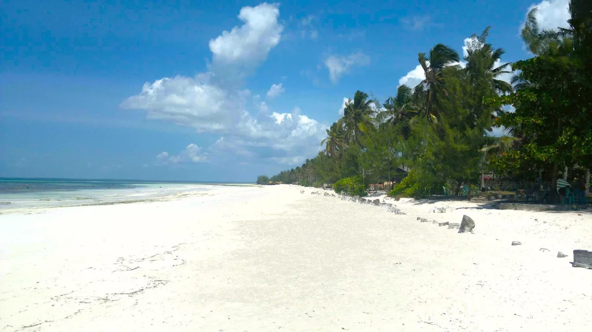 Uroa Beach, Uroa, East African Coast, Tanzania — 3