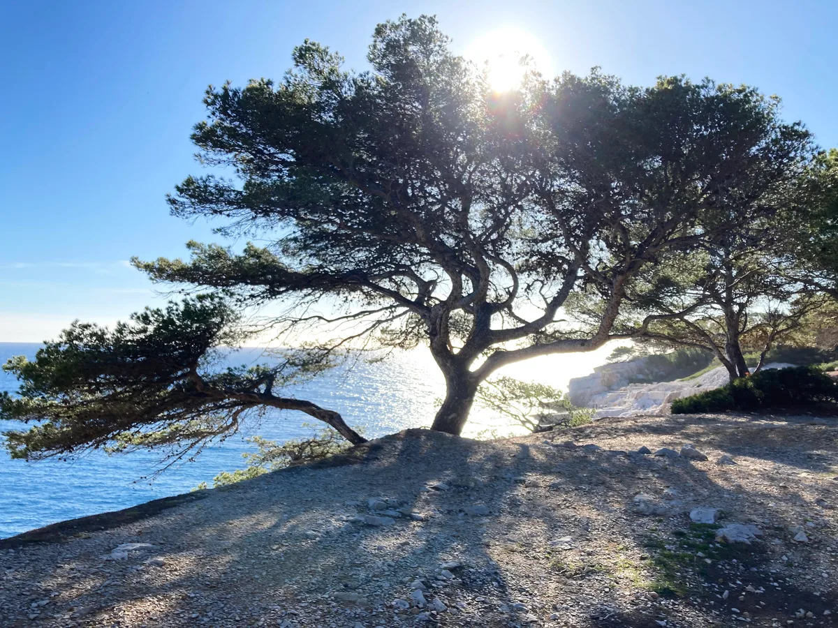 Plage Bleue, Cassis, Provence-Alpes-Côte d'Azur, France — 6