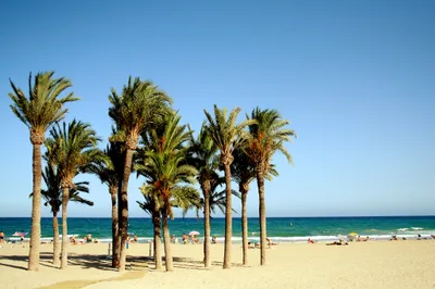 Platja de Villajoyosa