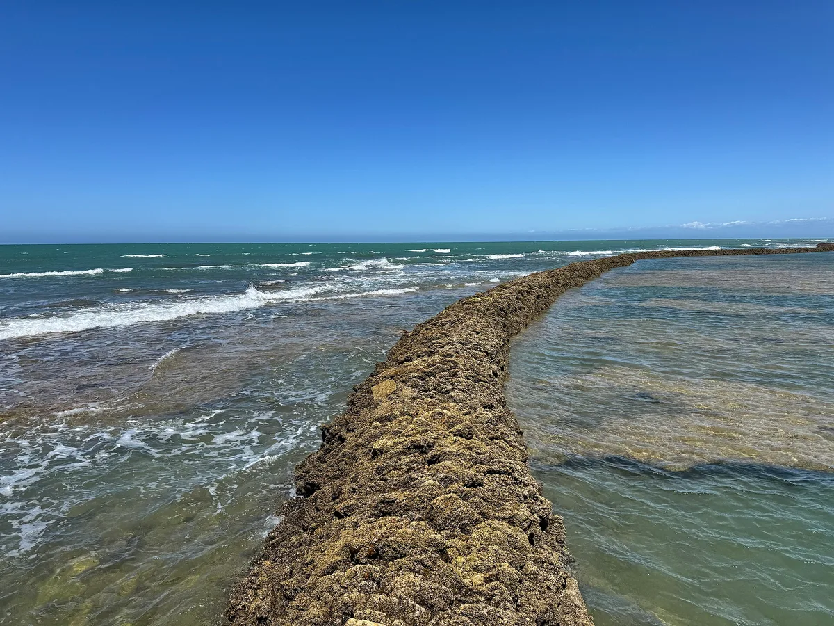 Playa de la Luz, Rota, Andalusia, España — 3