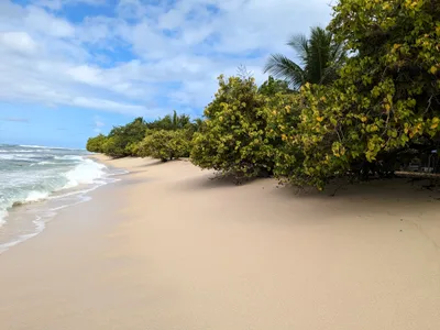 Souffleur-Strand