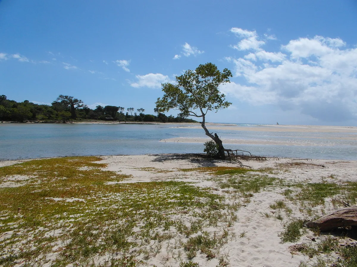 Mwachema River Mouth Beach, Ukunda, Coast Province, Kenya — 3