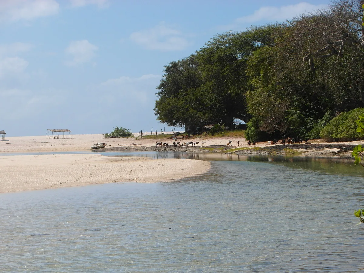 Mwachema River Mouth Beach, Ukunda, Coast Province, Kenya — 2