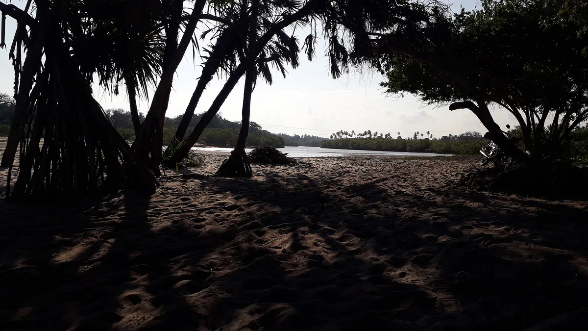 Mwachema River Mouth Beach, Ukunda, Coast Province, Kenya — 5