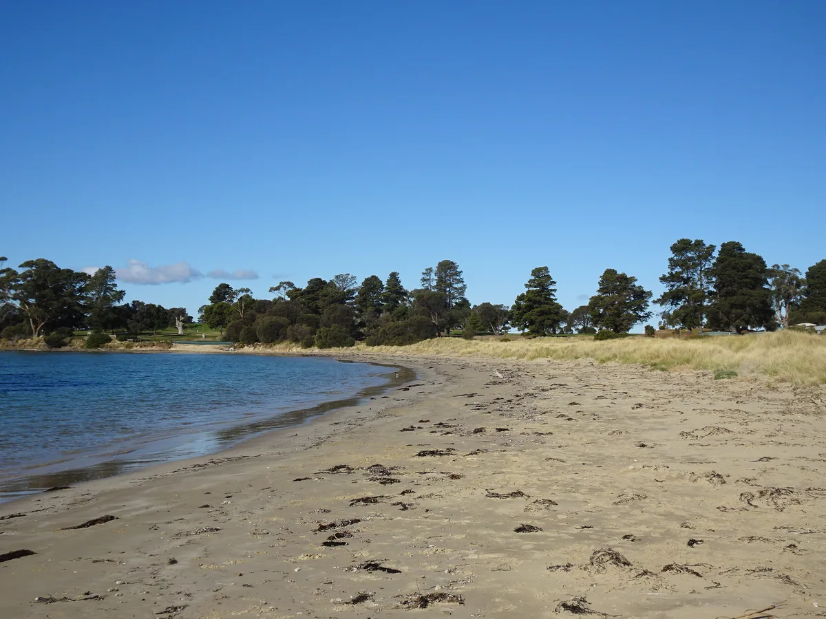 Plage de Swansea, Swansea, Tasmania, Australie
