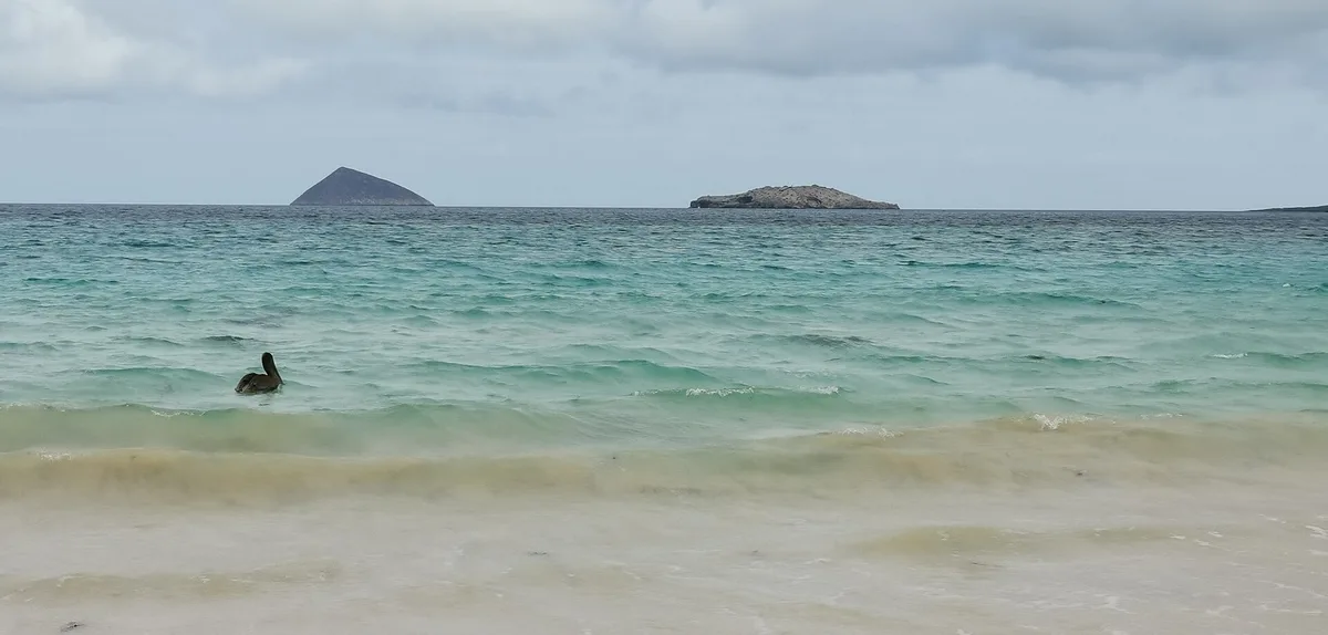 Plage de Punta Cormorant, Floreana, Galápagos, Équateur — 4